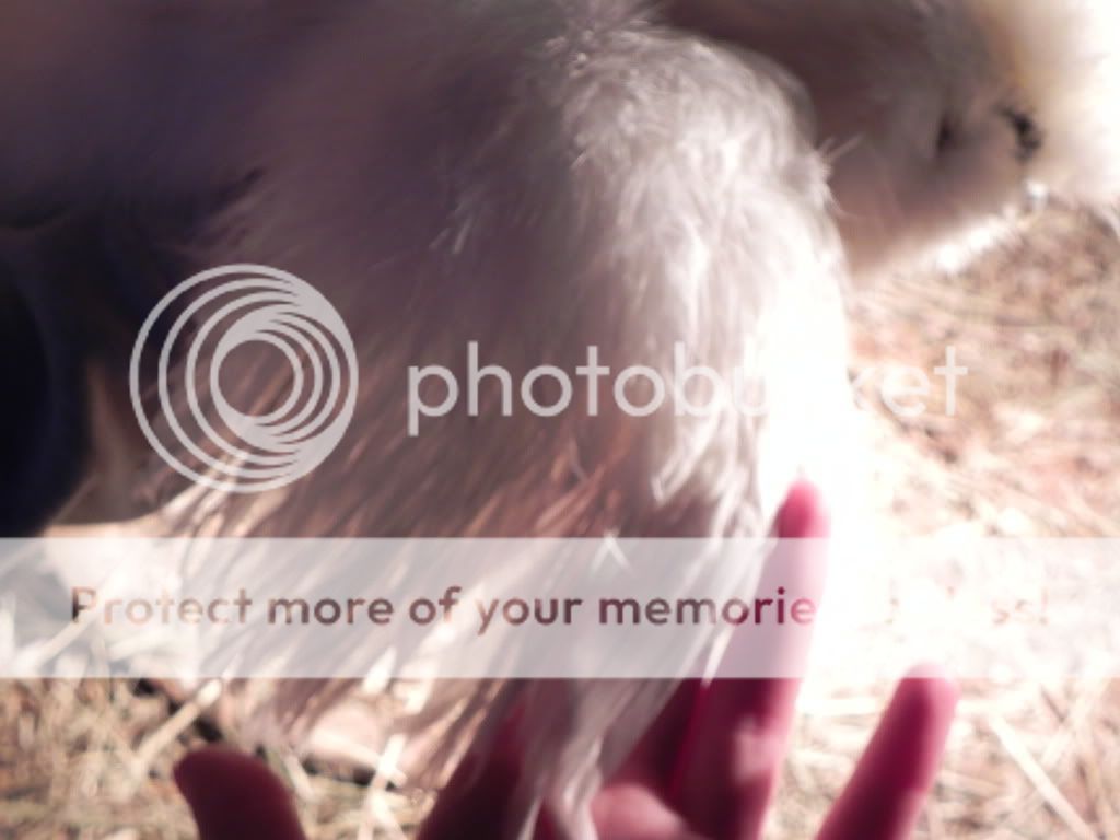 DSCN1599.jpg