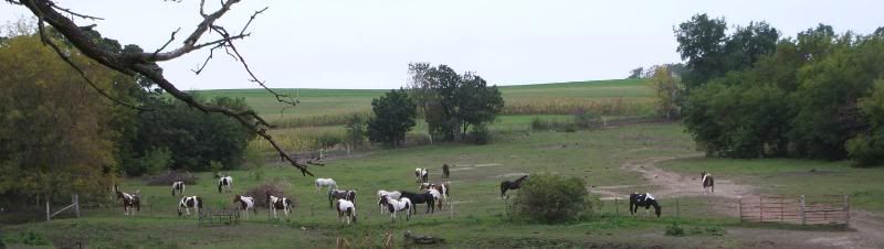 DSCF1204.jpg