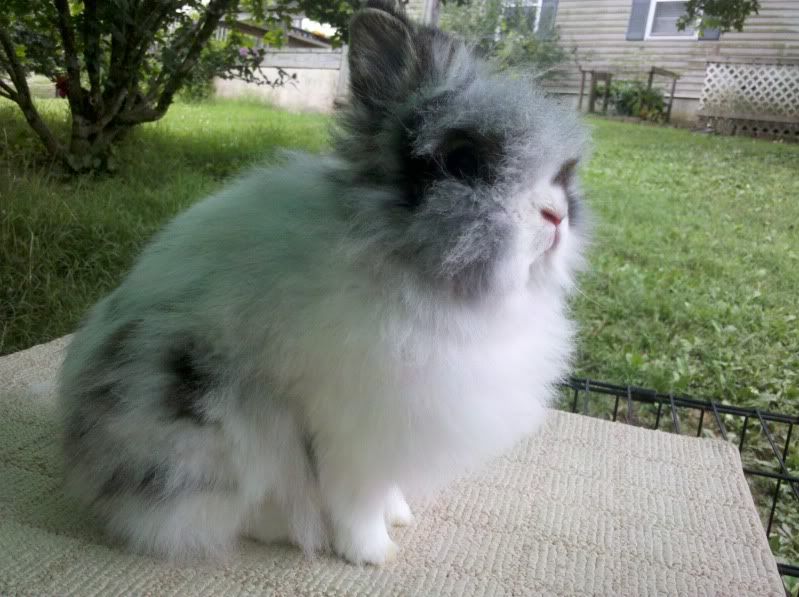 2011-06-28_18-41-42_109.jpg