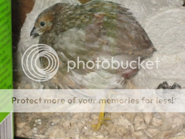 IMG_4681.jpg