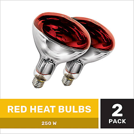 Producer's Pride 120V 250W Red Heat Bulbs, 2-Pack, 81016-730