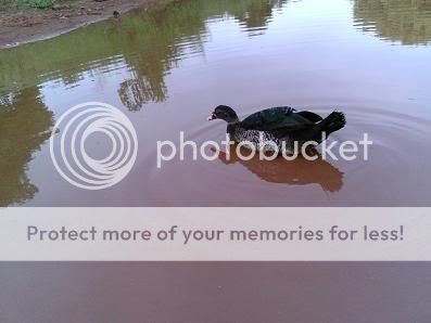 IMG00571.jpg