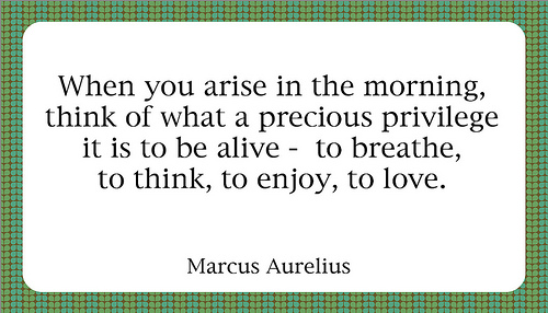 marcus+quote.jpg