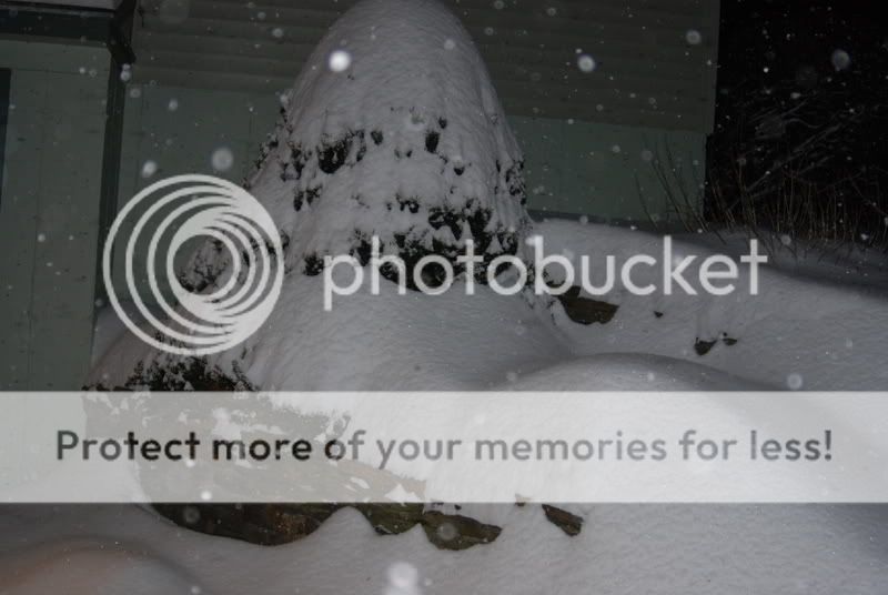 bigsnow009.jpg