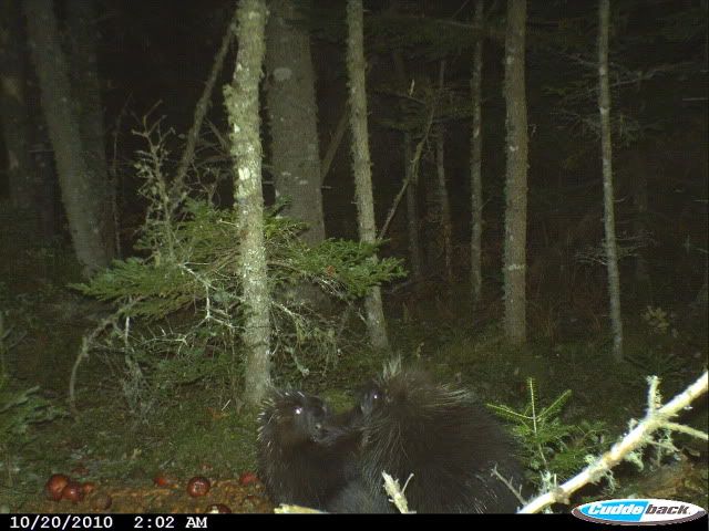 CDY_0192.jpg