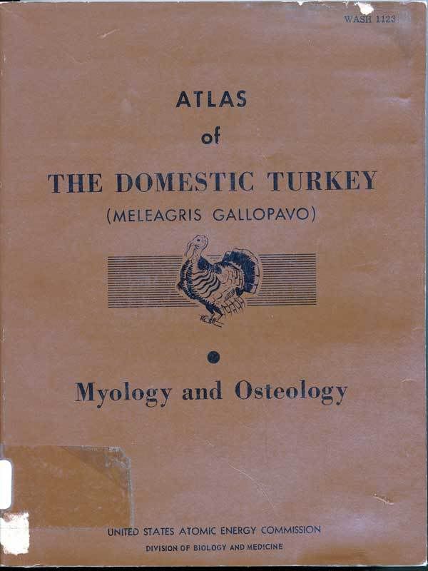 AECTurkeyAtlasCover.jpg
