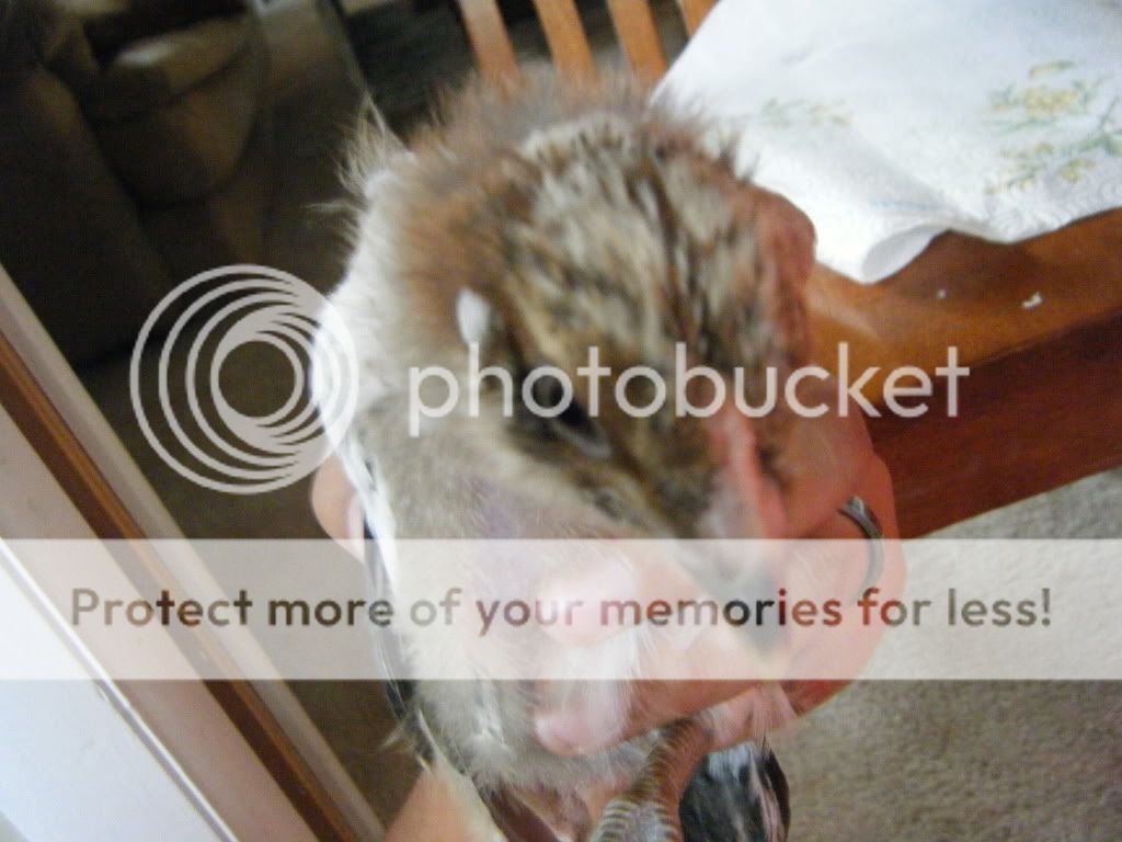 DSCF4758.jpg