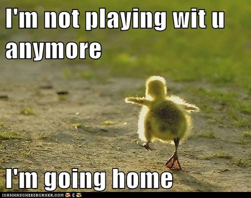 funny-animal-captions-007.jpg