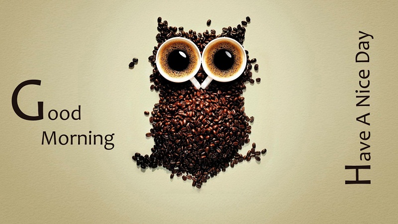 Good-Morning-Have-A-Nice-Day-Owl-Picture.jpg