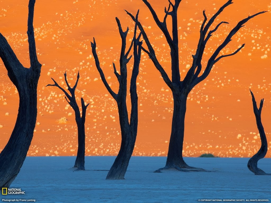 The+orange+Sossusvlei+sand+dunes+in+Namibia.jpg