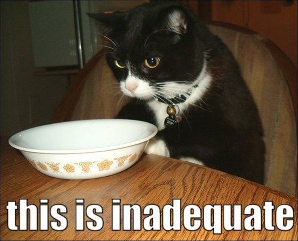 funny-animal-memes-006-029.jpg