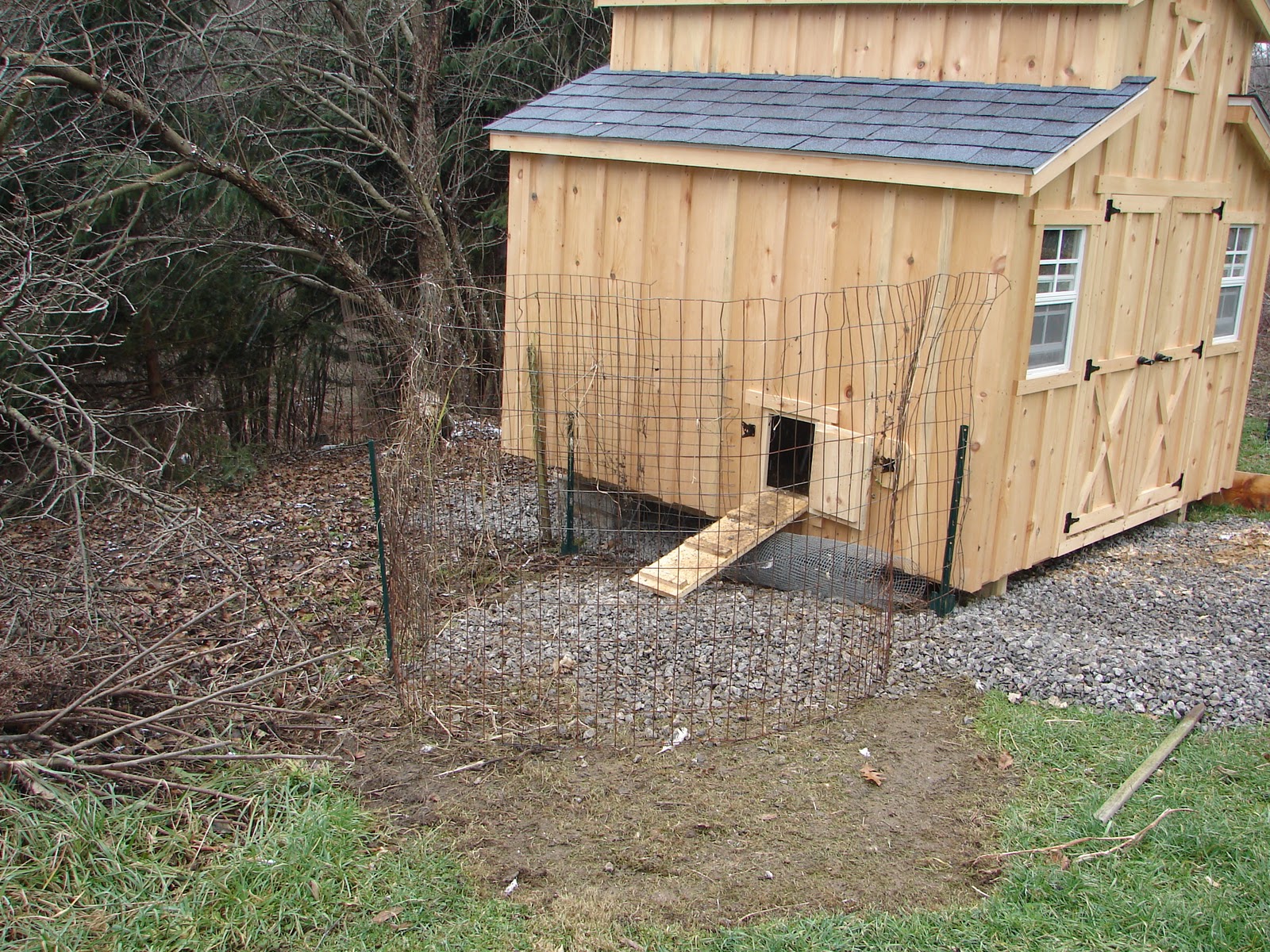 Chickens+and+Runs+12-17-11+006.jpg