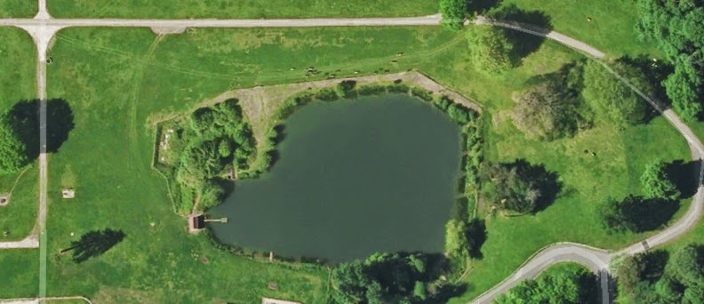 Dillington_Pond_Overhead.jpg