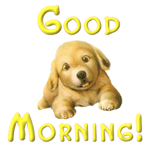 dog%2Banimation%2Bgood%2Bmorning%2Bhd%2Bwallpaper.gif