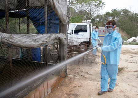 Birflu_Sanitation_Taiwan.jpg