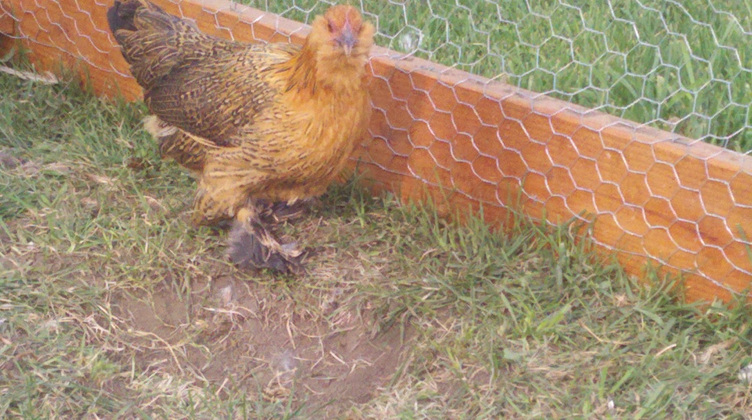 2011-09-25_16-10-09_390.jpg