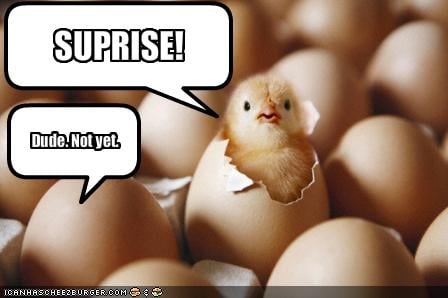 surprise-chicken-is-a-little-early.jpg
