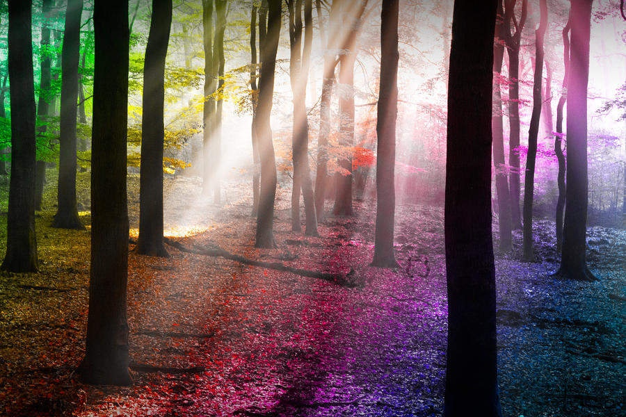 day_22__where_unicorns_live_by_eliseenchanted-d5sbqts.jpg