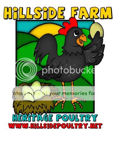 HillsidePoultry-withwebsite-BlackJa.jpg