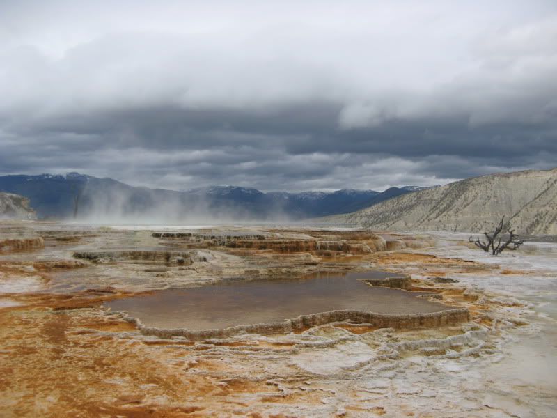 Yellowstone2963.jpg