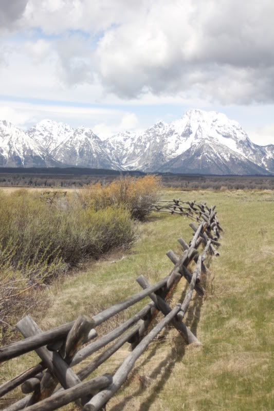 Yellowstone303.jpg