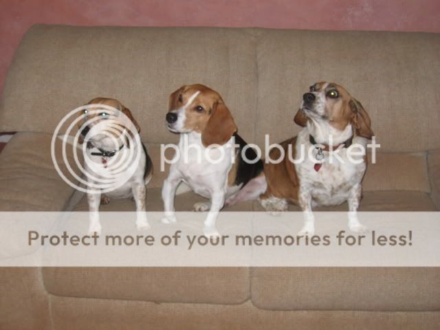 IMG_0453rev0.jpg