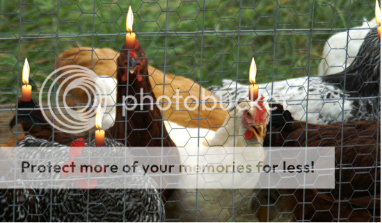 chickencandle.png