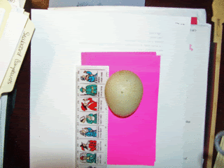 mysteryegg1.gif