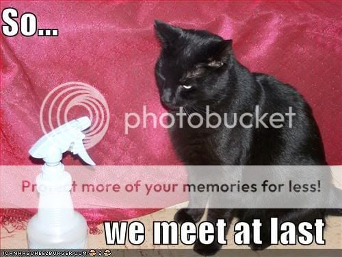 funny-pictures-black-cat-water-bott.jpg