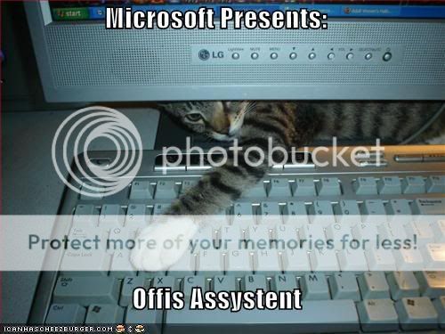 funny-pictures-cat-keyboard-microso.jpg