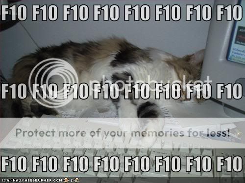 funny-pictures-cat-sleeping-f10-key.jpg