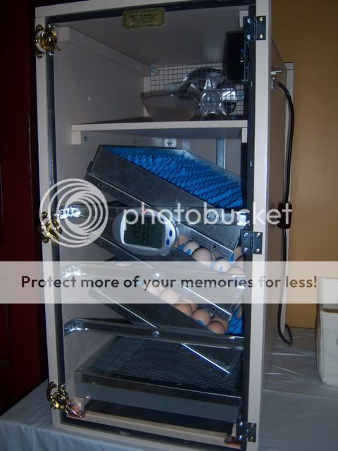 incubator015.jpg