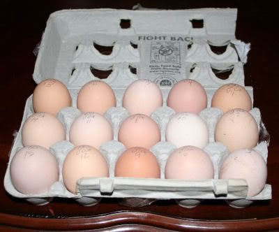 eggs5.jpg