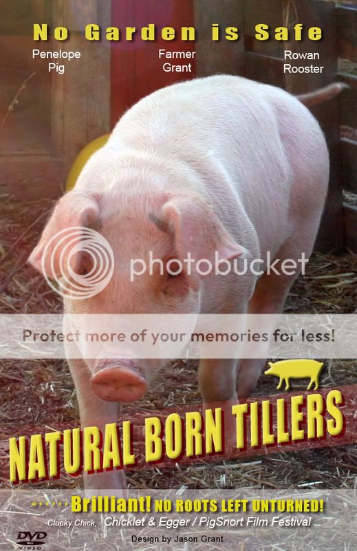 NaturalBornTillers.jpg