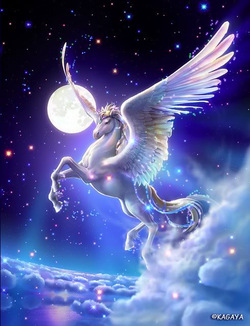 Beautiful-Unicorns-unicorns-24601931-491-640.jpg