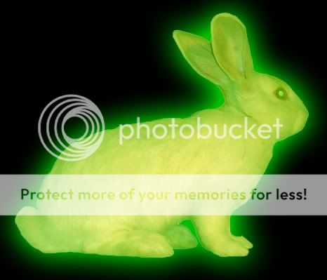 glowing_rabbit.jpg