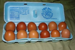 Eggs.JPG