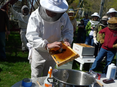 bee-installation7-fbd20be46f2bd97b254368f61d858e09f02a1852-s3.jpg