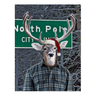 funny_deer_wearing_santa_hat_at_north_pole_postcard-r652cc17a11c54879b647b62c364f43fa_vgbaq_8byvr_324.jpg