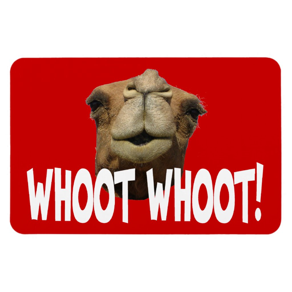 hump_day_camel_whoot_whoot_flexi_magnet-r69aeab3f3e344a84b602949720618ddc_adgu2_8byvr_1024.jpg