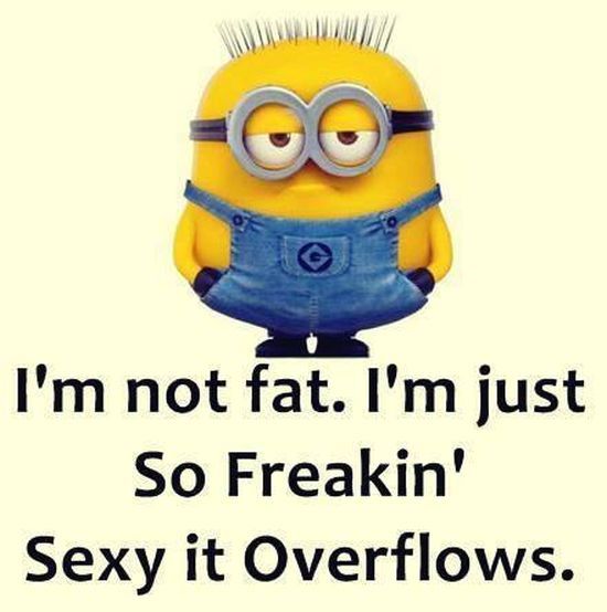 196891-I-m-Not-Fat-I-m-Just-So-Freaking-Sexy-It-Overflows.jpg