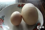 chicken-egg-China-90261-b.jpg