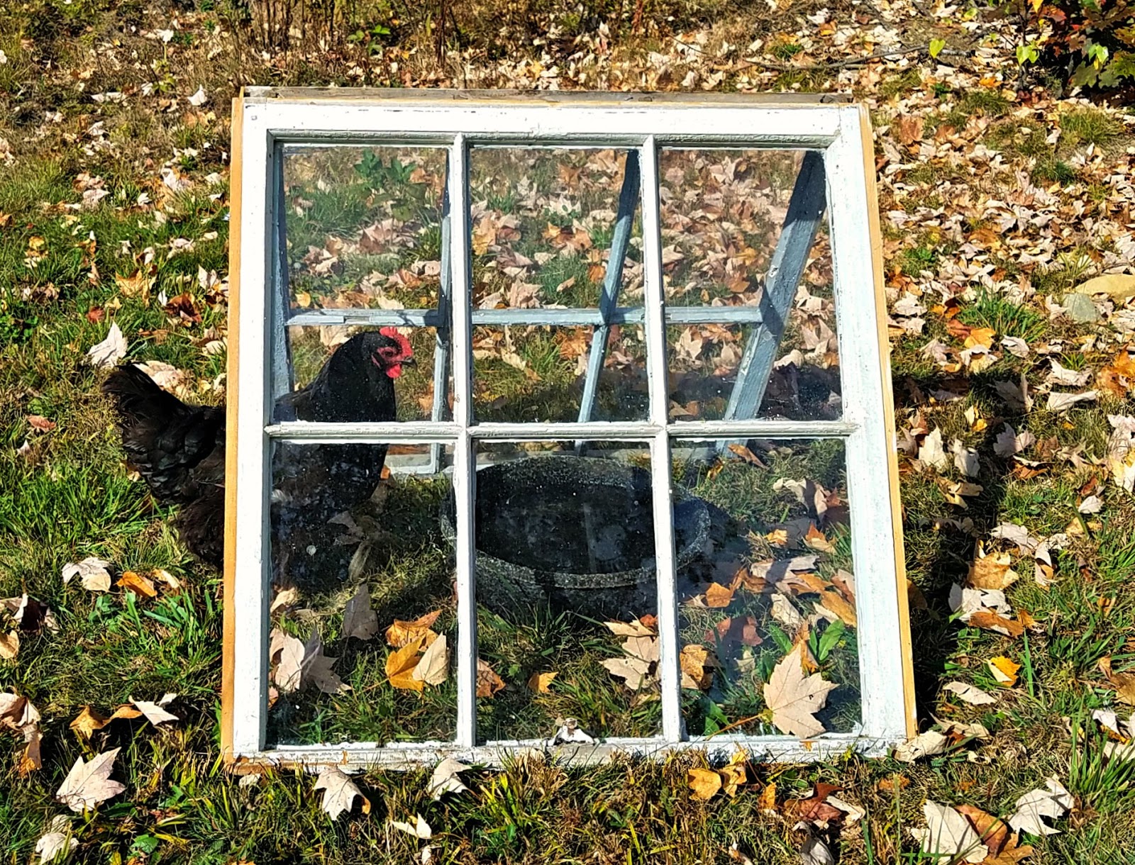 winter-window-water-5.jpg