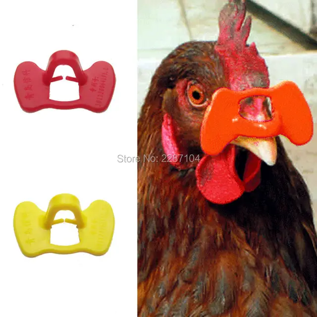 50pc-New-Red-Yellow-Pinless-No-Pin-Bolt-Chicken-Peepers-Eye-Glasses-Pheasant-Poultry-Blinders-Spectacles.jpg_640x640.jpg