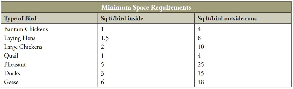 minimum-space-requirements.jpg