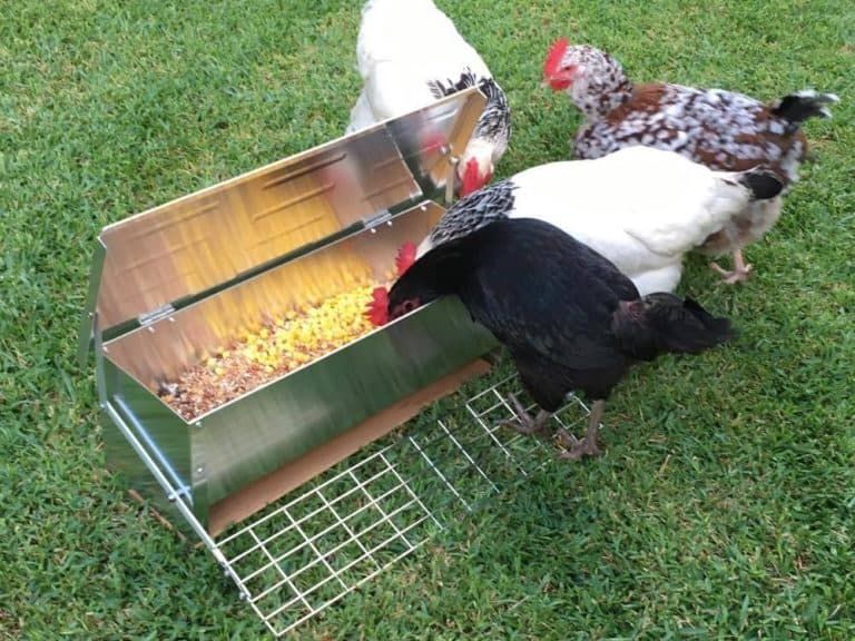 How To Make A No Waste Chicken Feeder