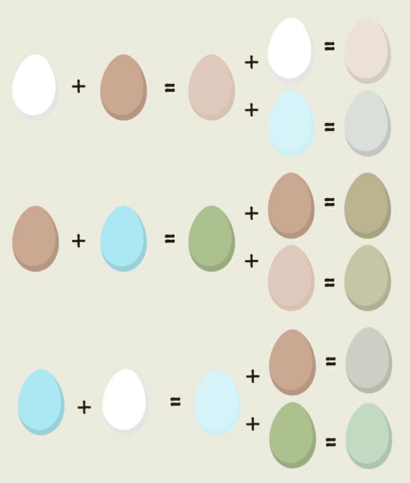 egg-colors5.jpg