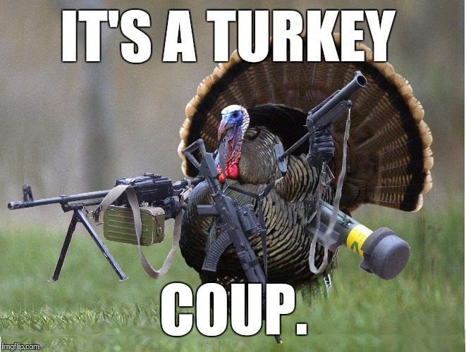 8d7a0b1f3da4be5d54c3bde4d2ffd75e--turkey-meme-turkey-hunting.jpg