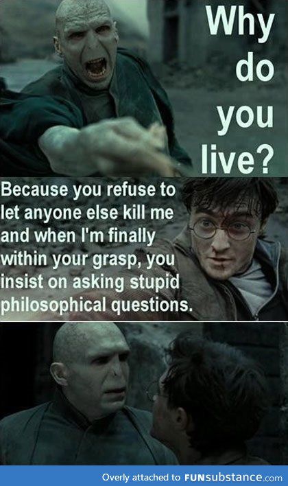 Voldemort is not bright - FunSubstance | Harry potter jokes, Harry potter  memes hilarious, Harry potter fandom