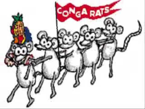 Conga Rats!! - YouTube